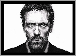 Hugh Laurie, Dr. House